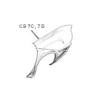 R/H Full 1/4 Panel (4 Door)